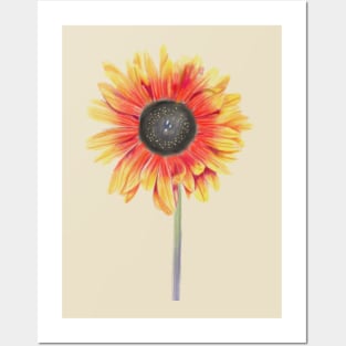 Red and Yellow Sunflower Illustration Posters and Art